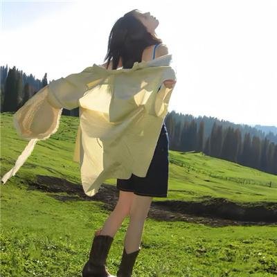 盘龙卧虎高山顶 封面